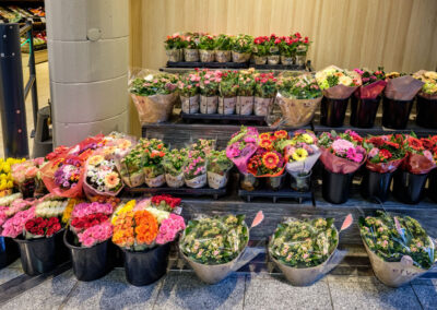 Rathausstr-Blumen